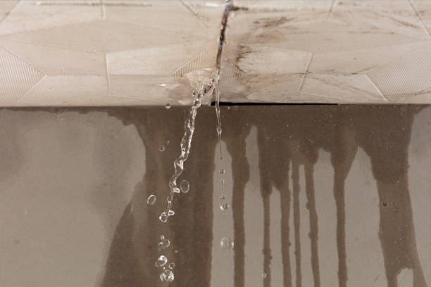 Professional Structural Drying technician working in Lolita, TX